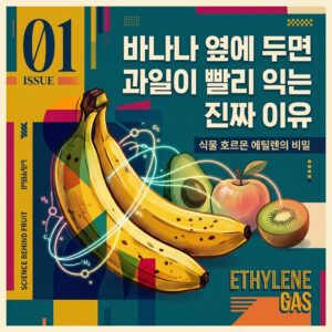 ai thumbnail poster 바나나 옆에 두면 과일이 빨리 익는 진짜 이유 1787362602