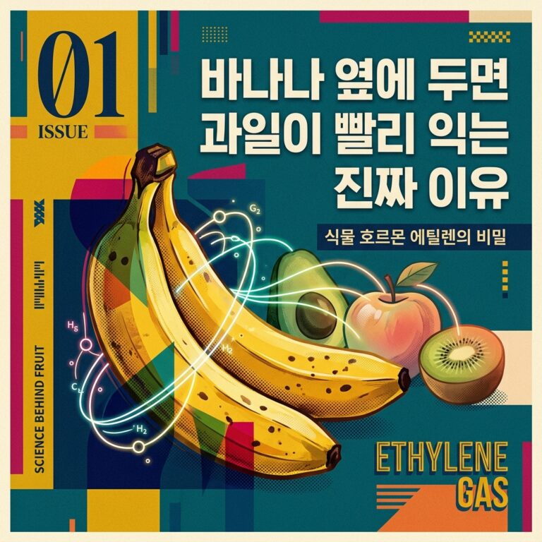 ai thumbnail poster 바나나 옆에 두면 과일이 빨리 익는 진짜 이유 1787362602