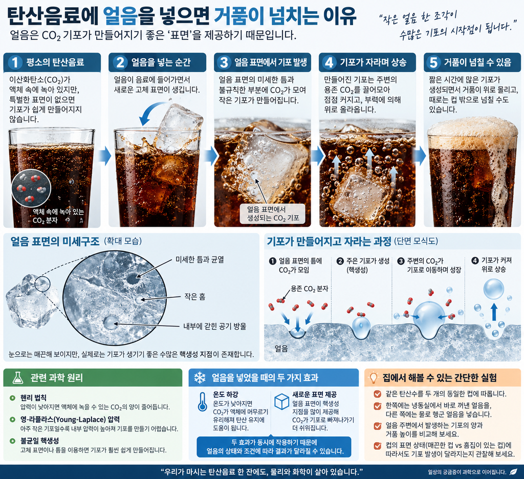 ChatGPT Image 2026년 9월 15일 오전 10 42 37